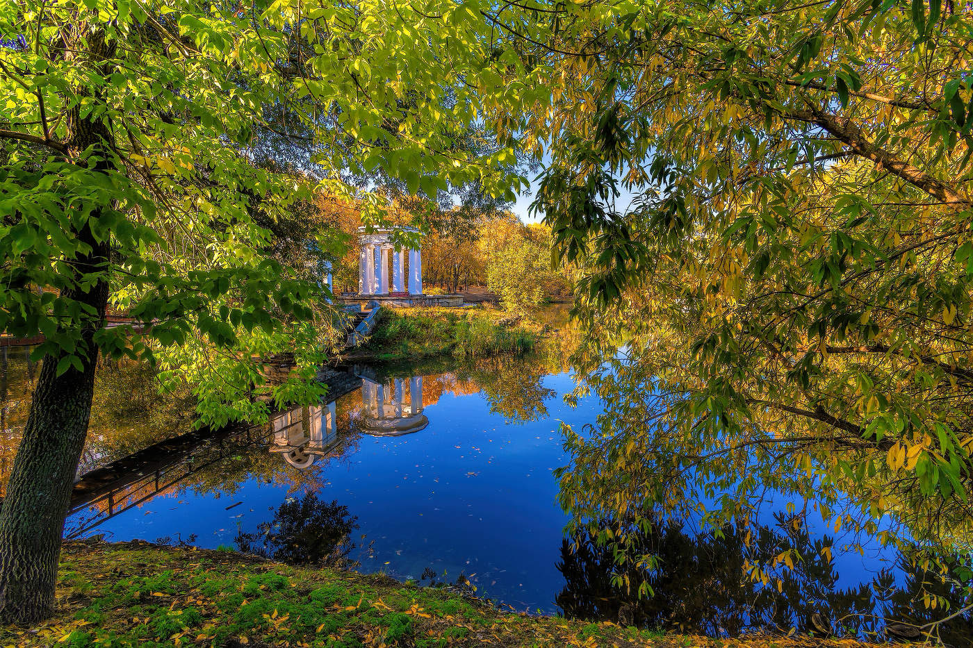 В старом парке