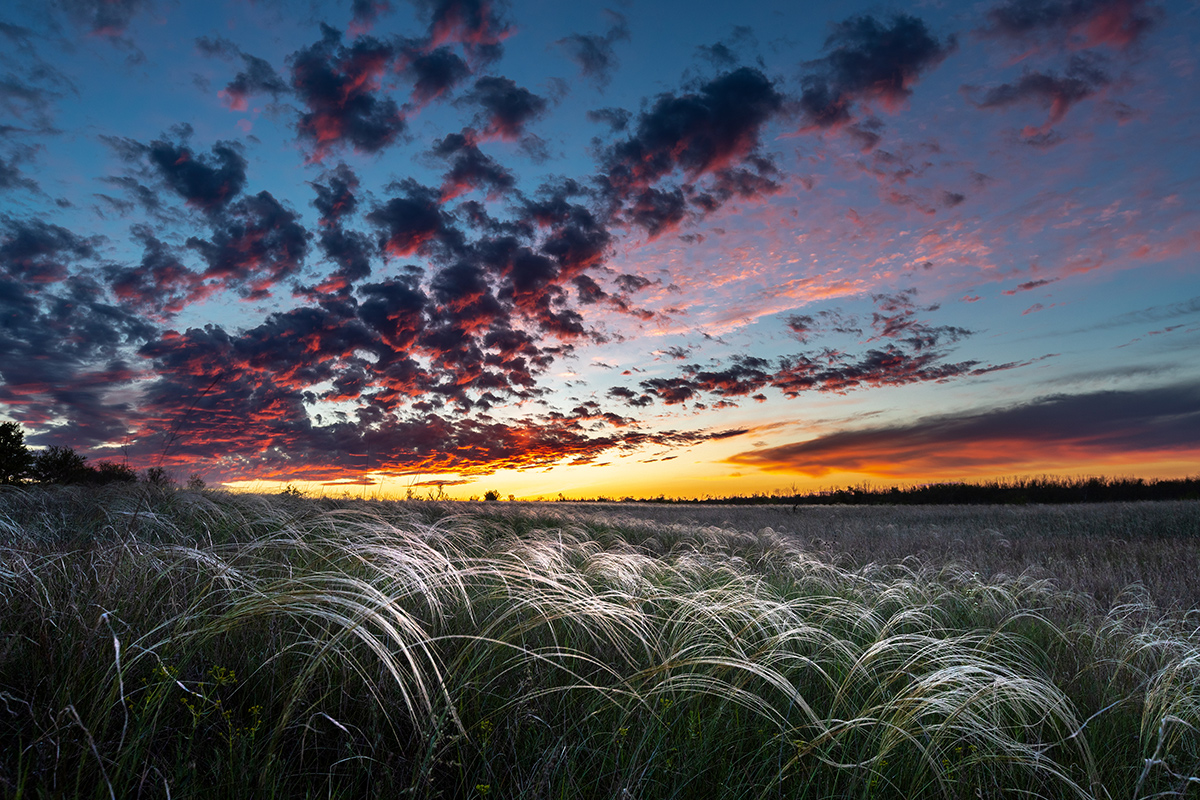 Догорает закат