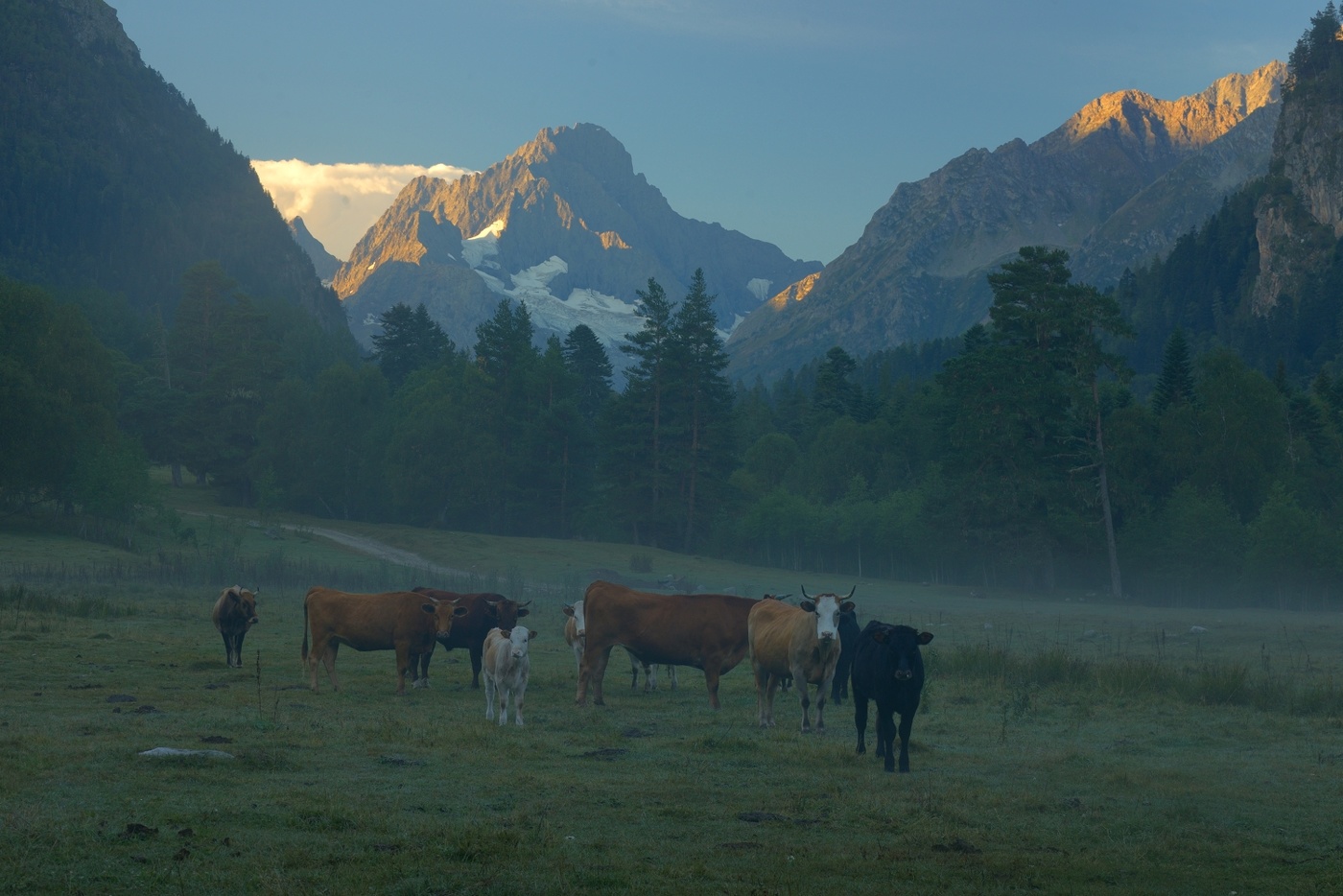 Утро в горах Кавказа