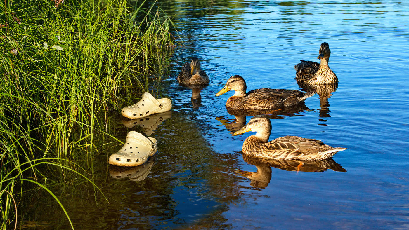 Что бы это значило?