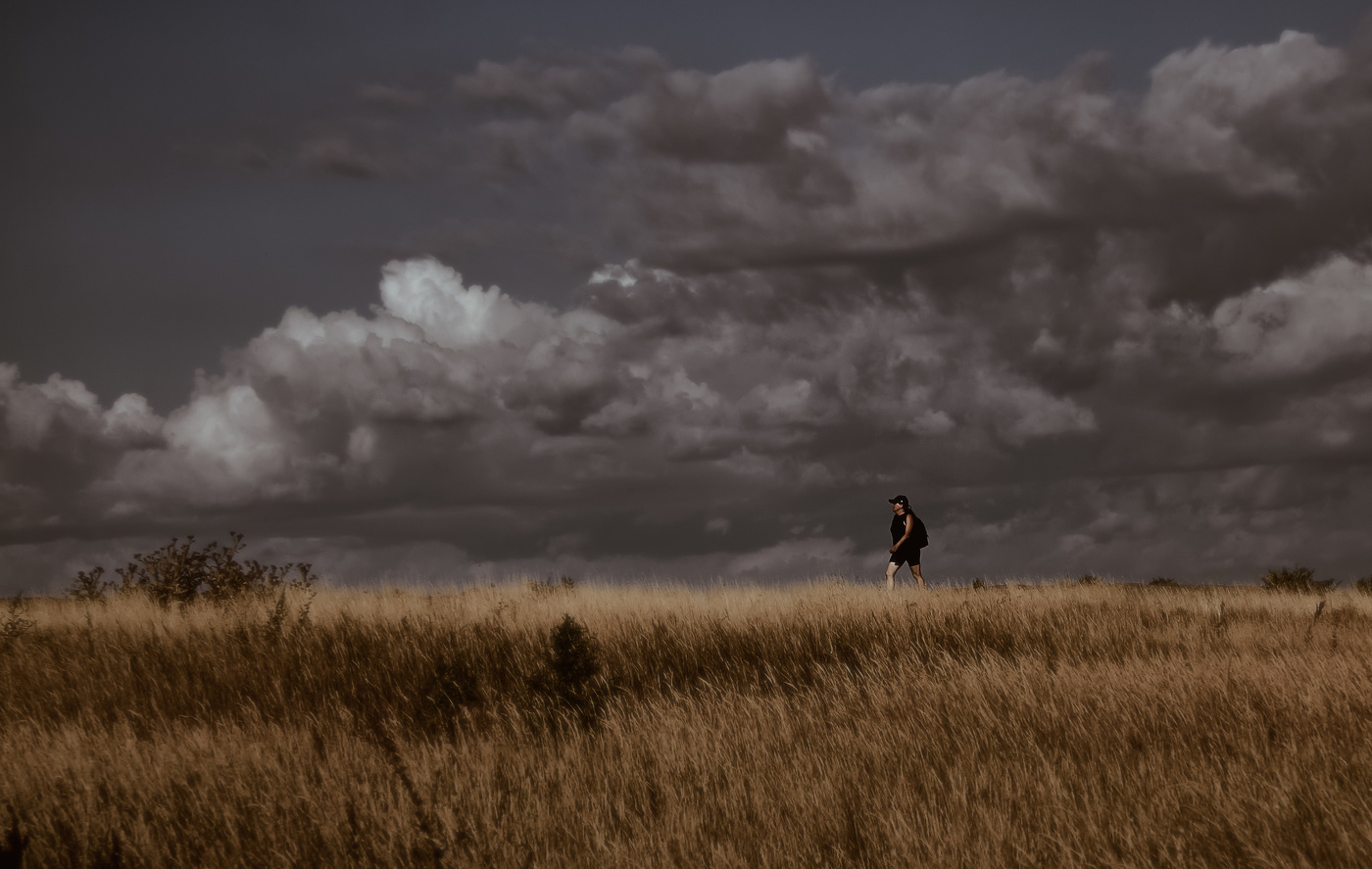 Навстречу Солнцу