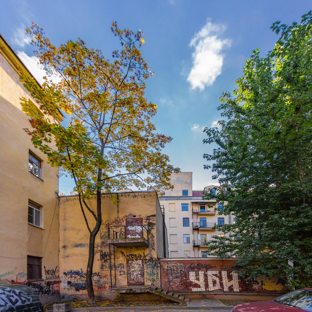 дворы Питера