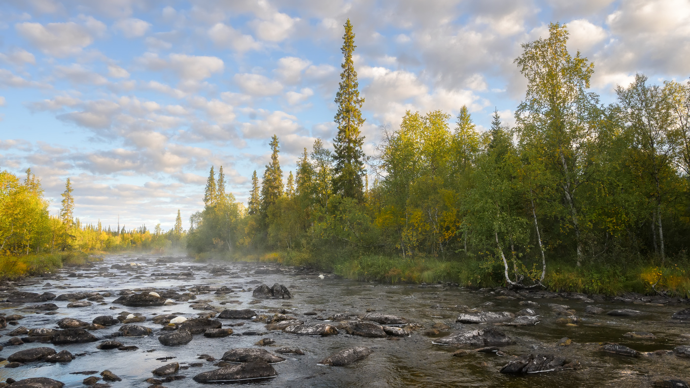 На таёжной реке
