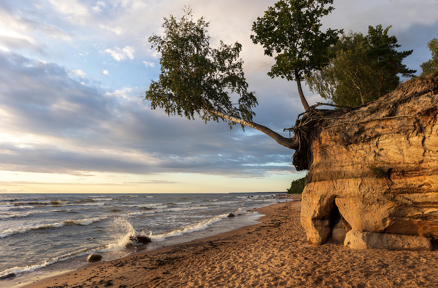 Хроника падения
