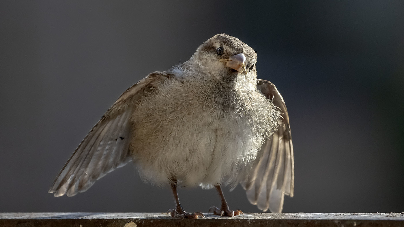 Задумался...