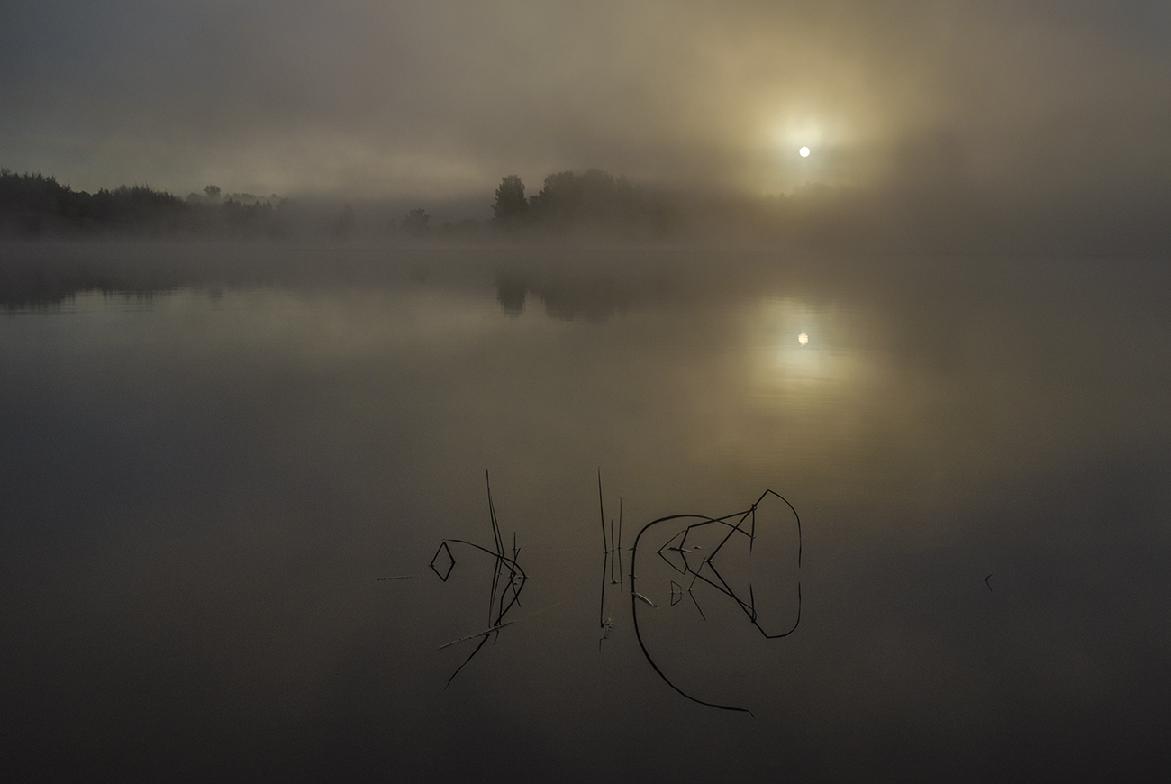 Солнце в объятиях тумана