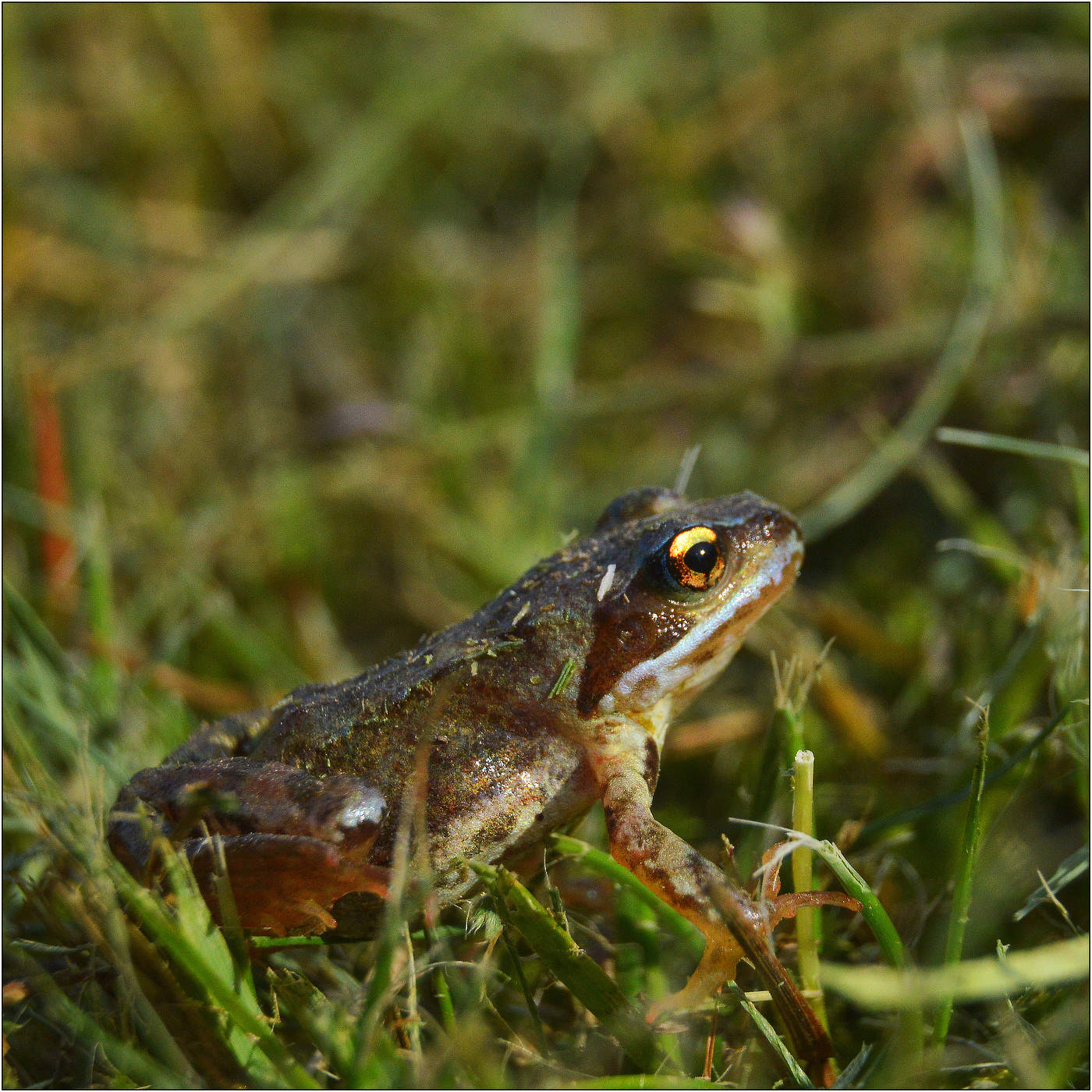 Глаза полны надежд.