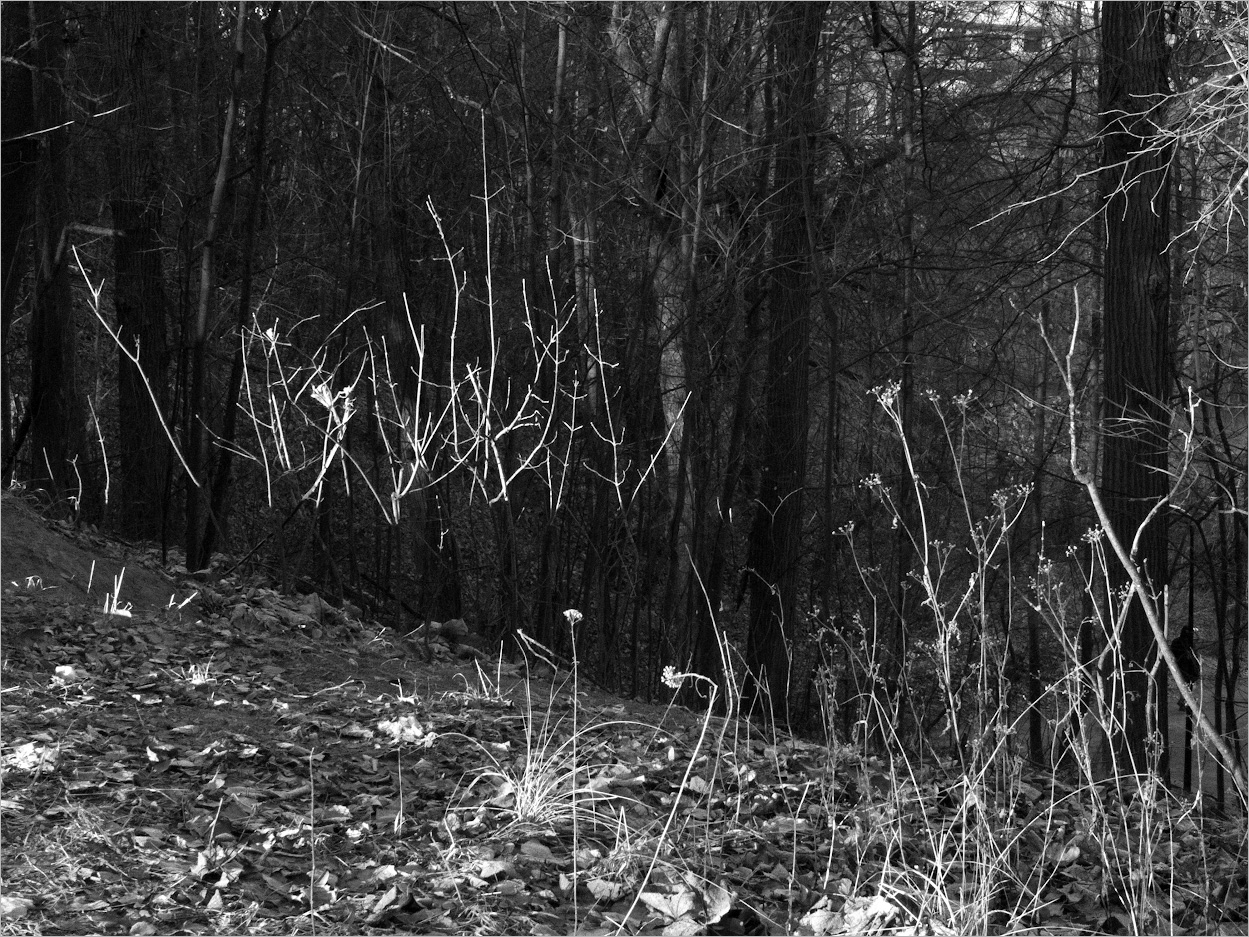 термоядерная реакция