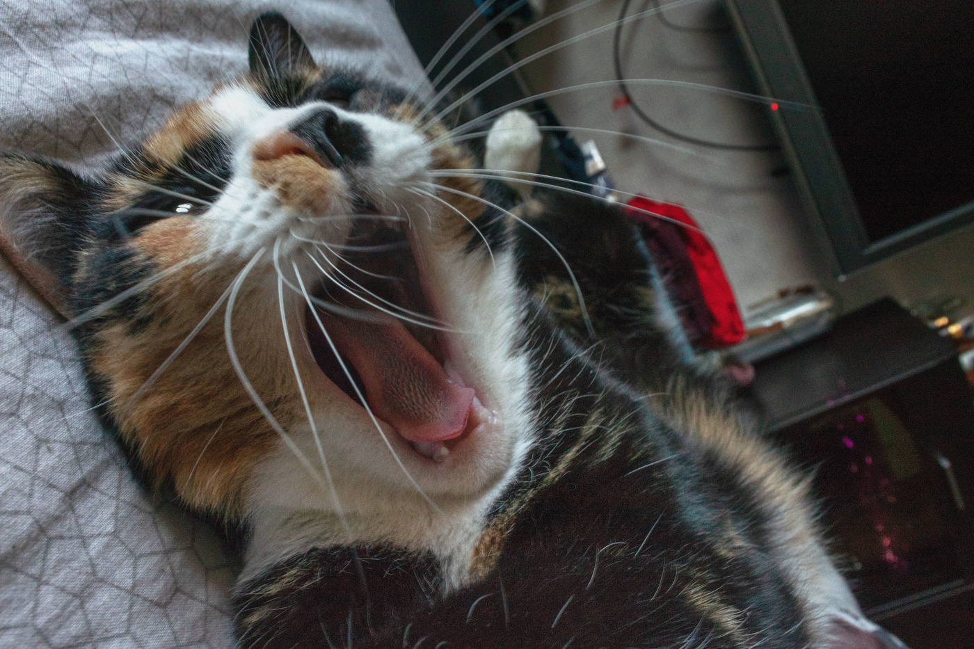 Жизнь вокруг