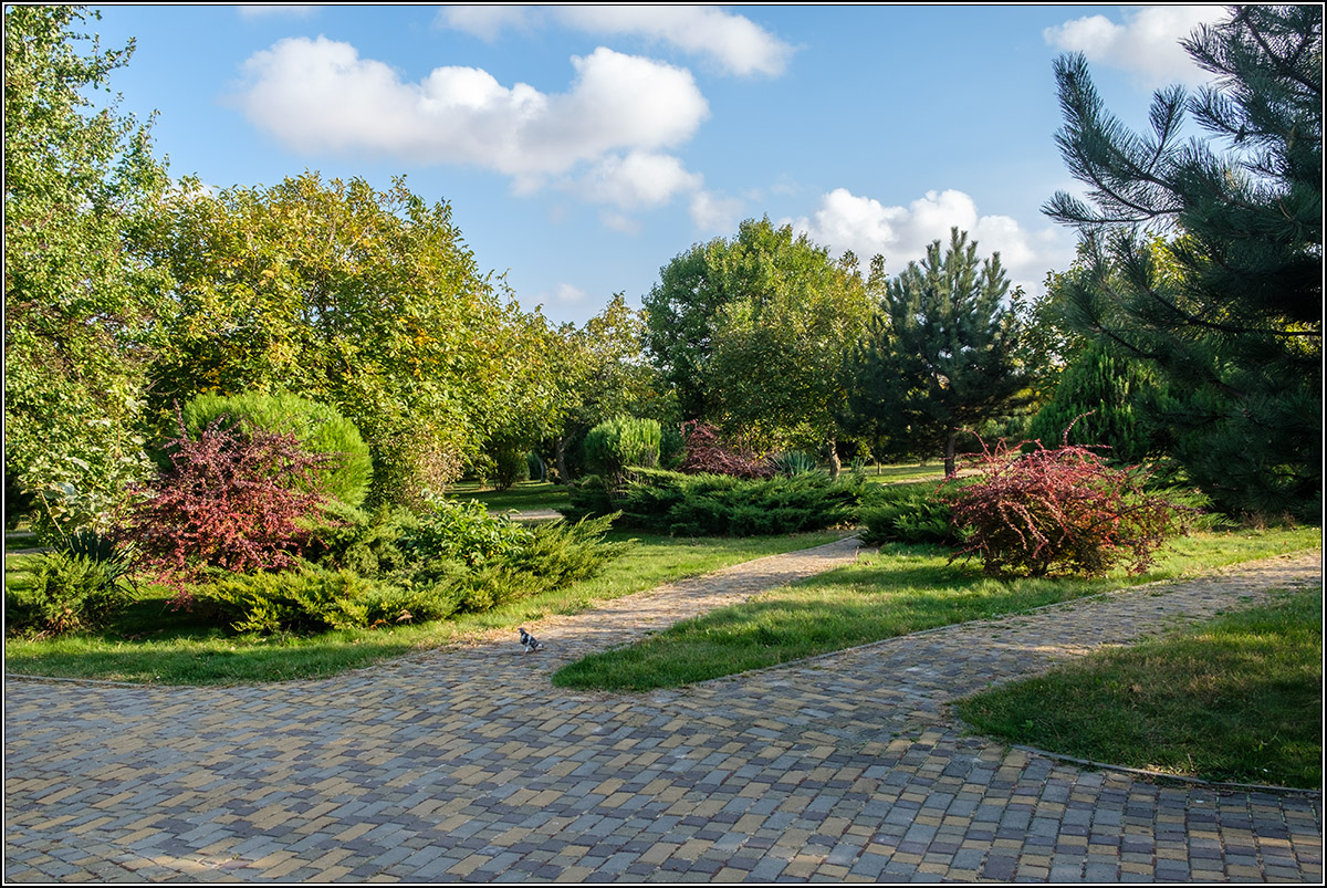 Ореховая роща в сентябре.