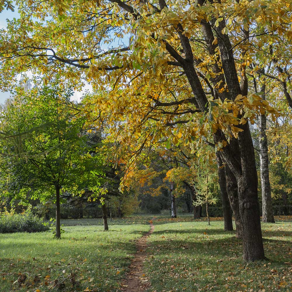Пройтись по осени
