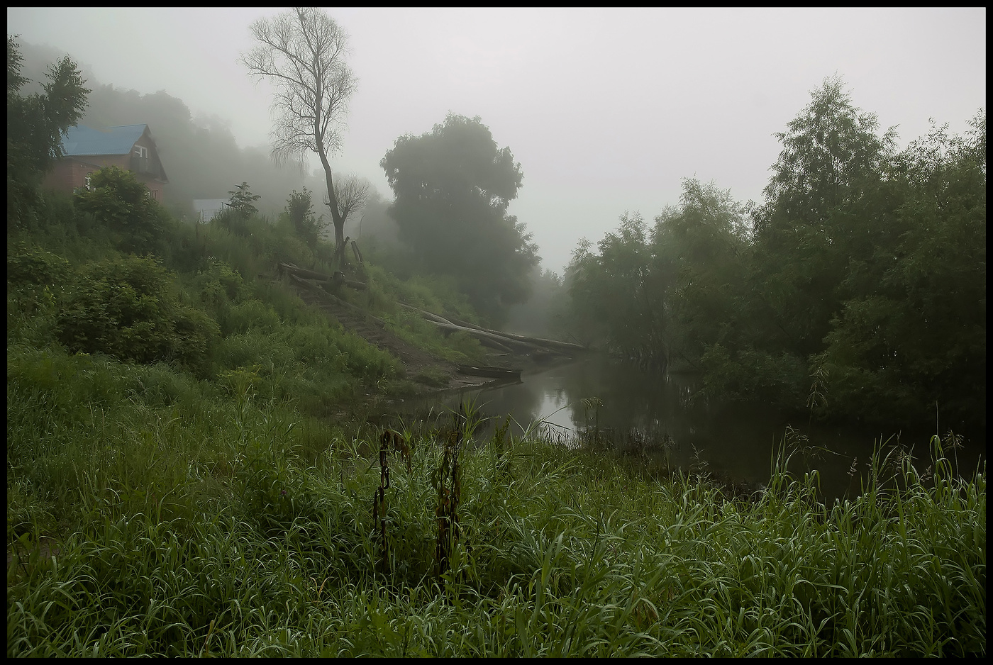 Утро туманное