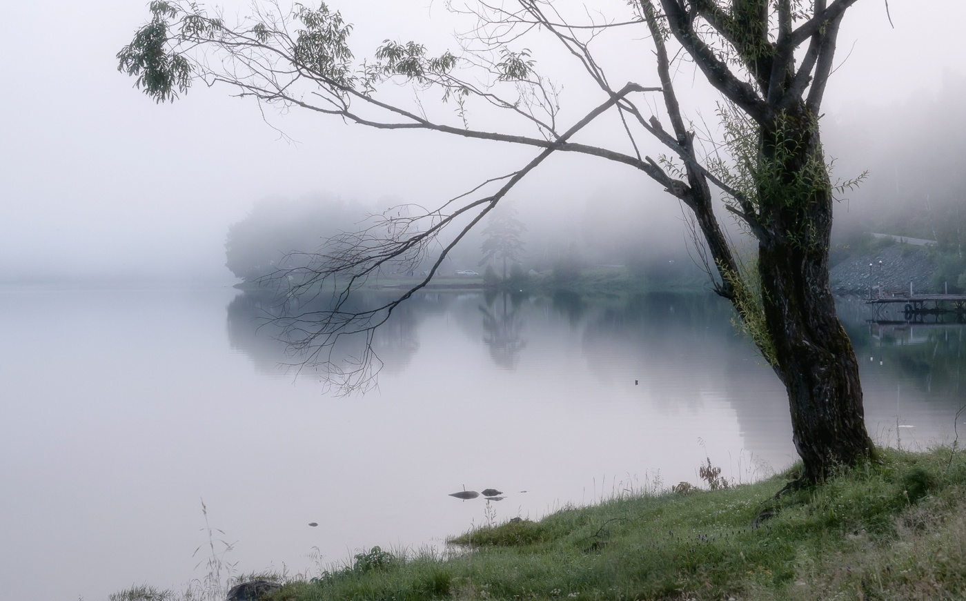 Невесомость