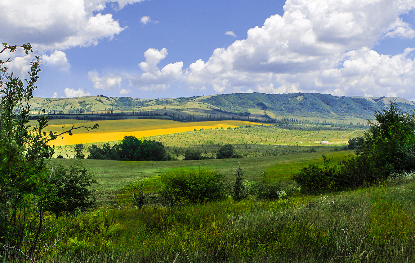 Поля осенние