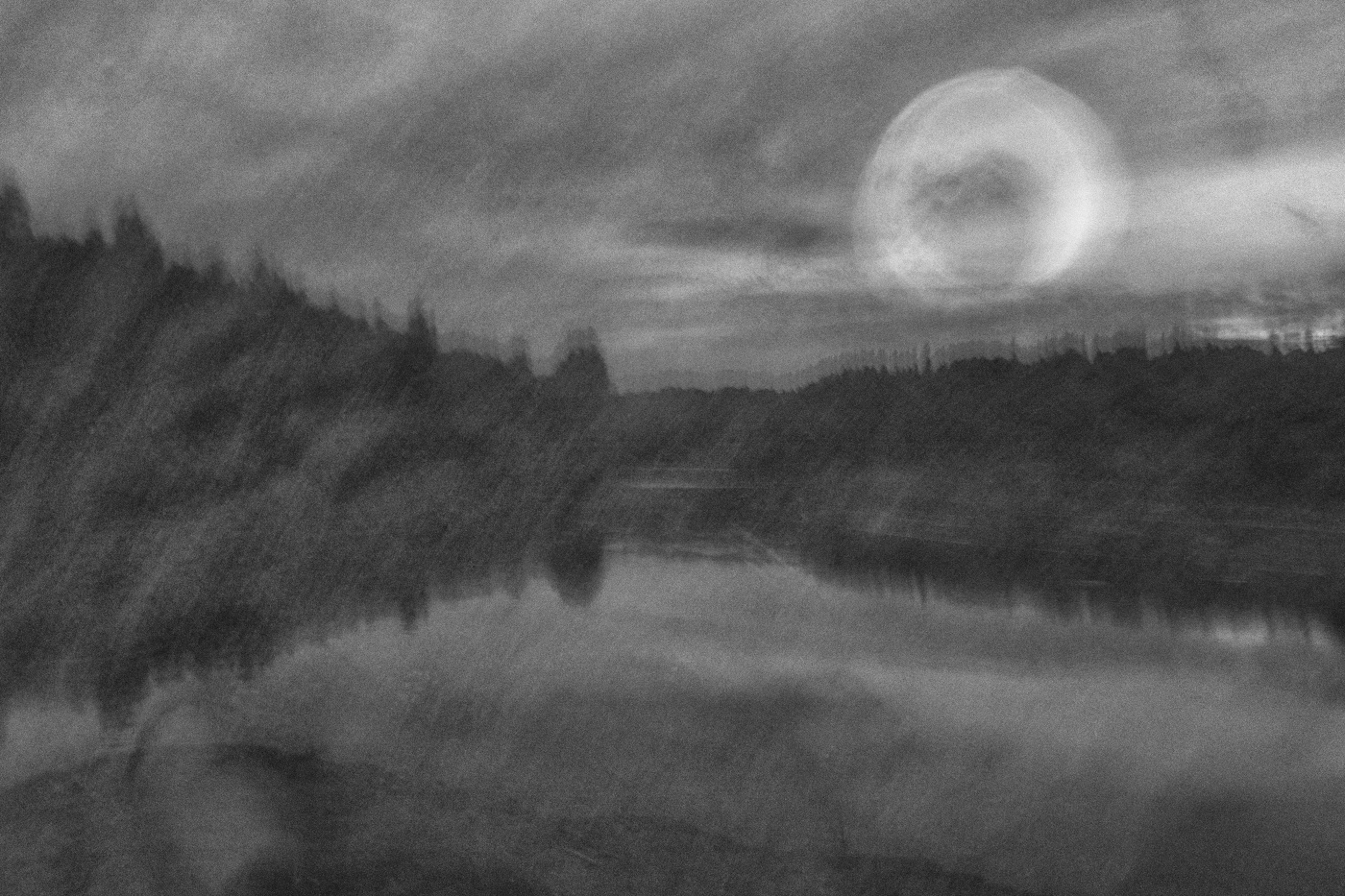 Жизнь вокруг