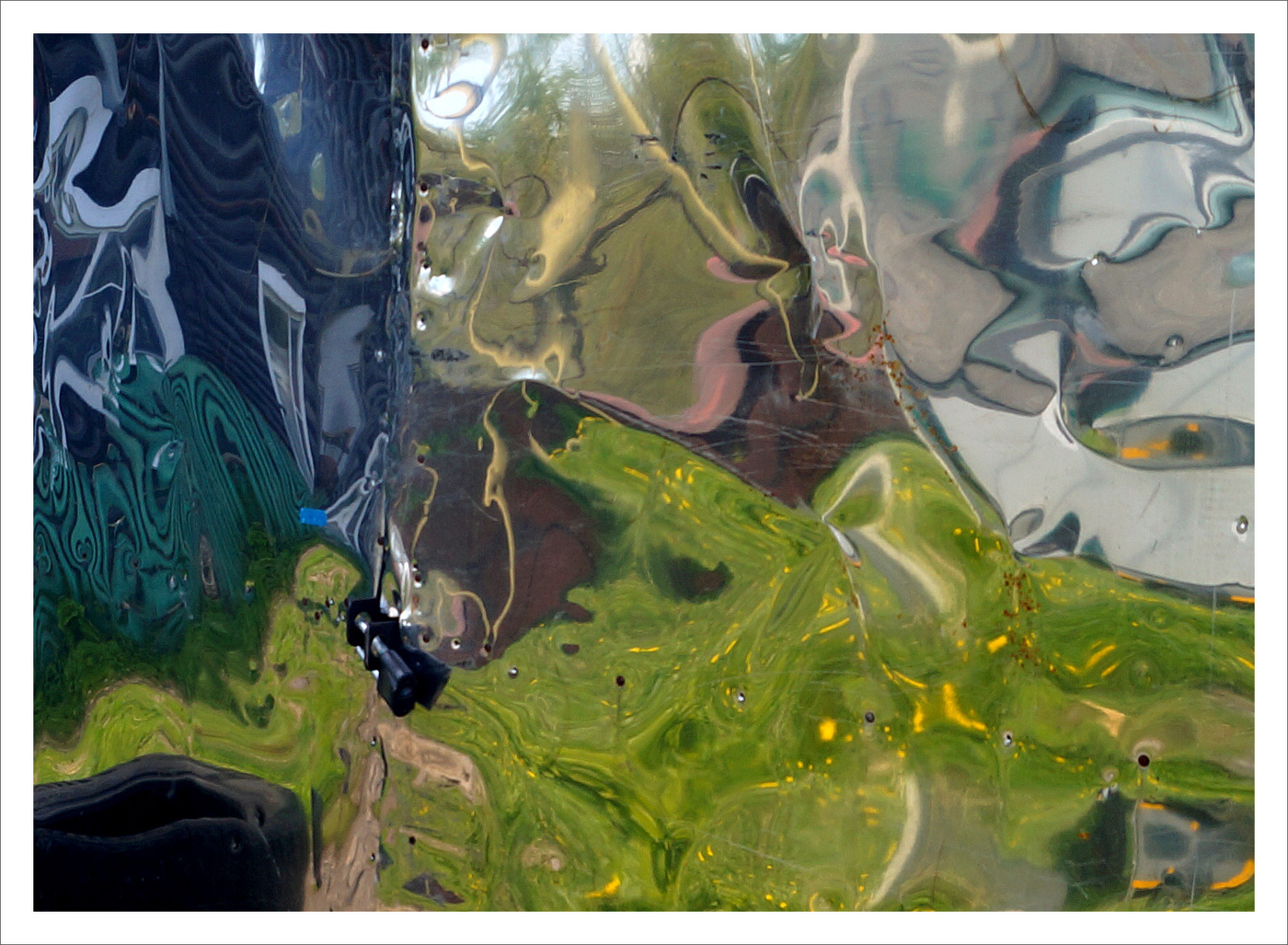 С одуванчиками