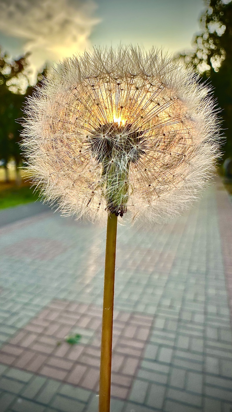 Просто так ))