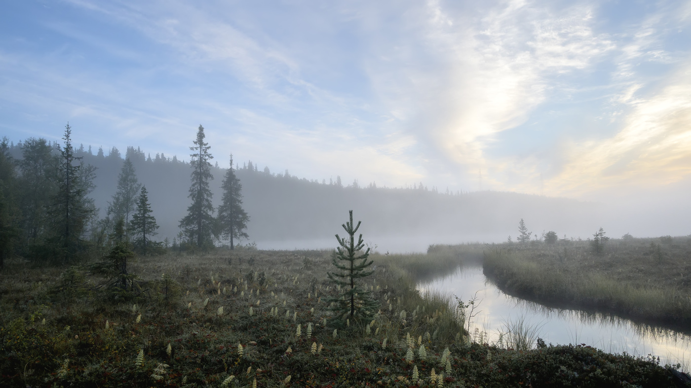 На рассвете