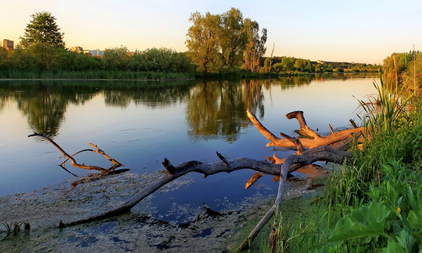 В вечернем пригороде