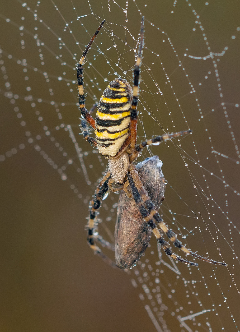 дама принимает душ