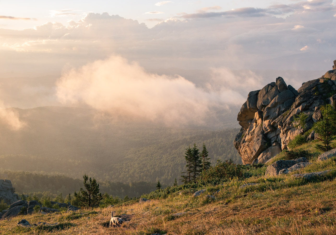 Встречаем утро