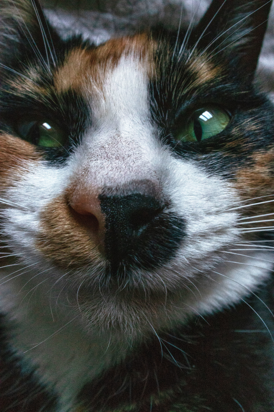 Жизнь вокруг