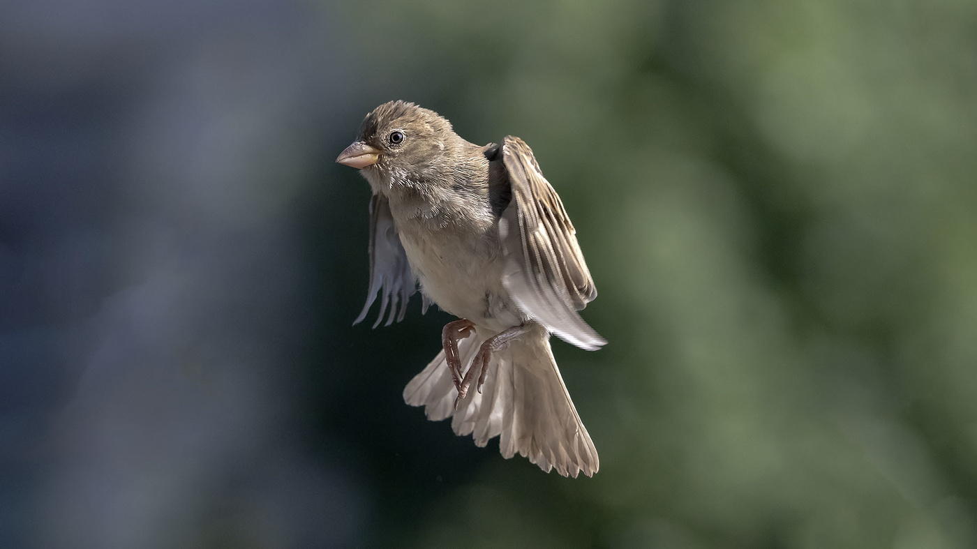 Снимай быстрее, щаз упаду!