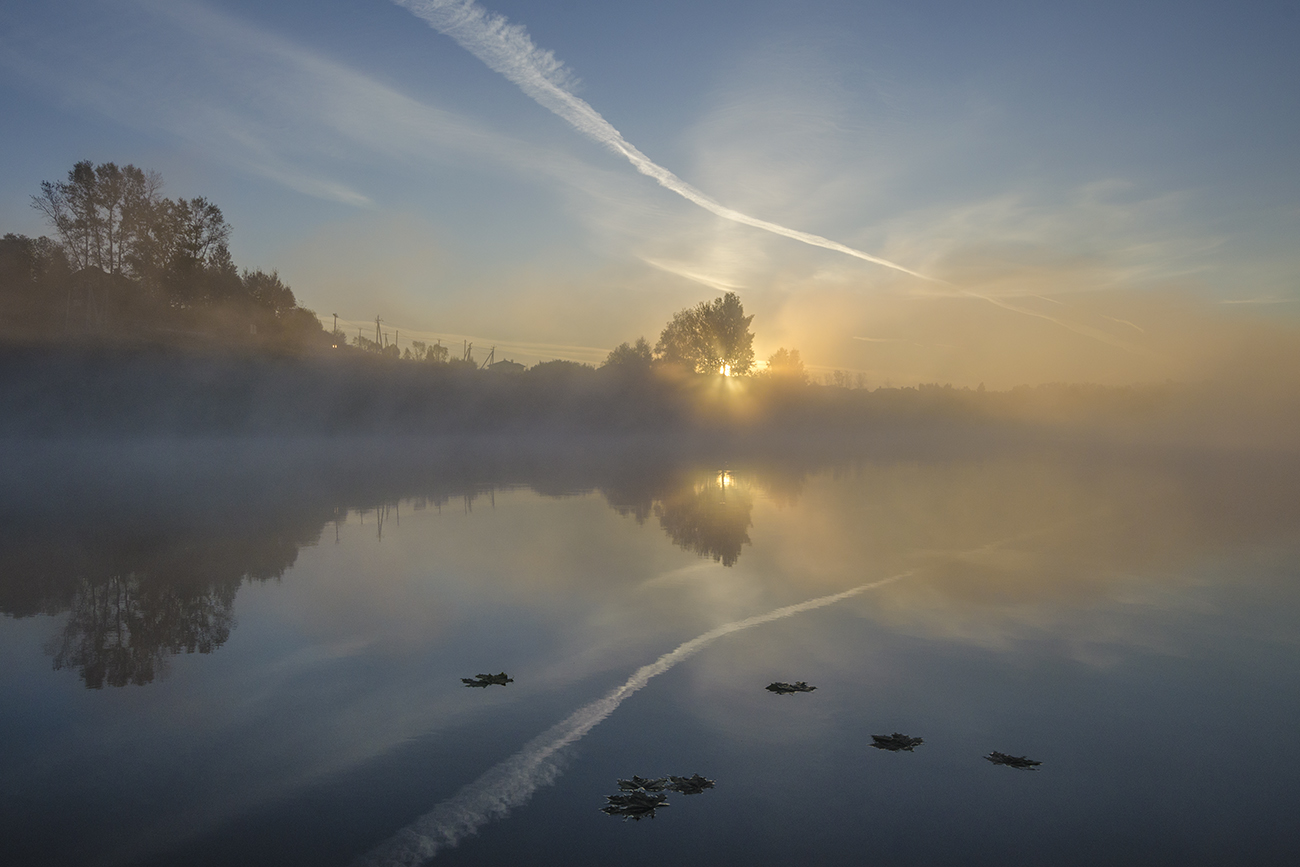 Когда на юг улетят журавли