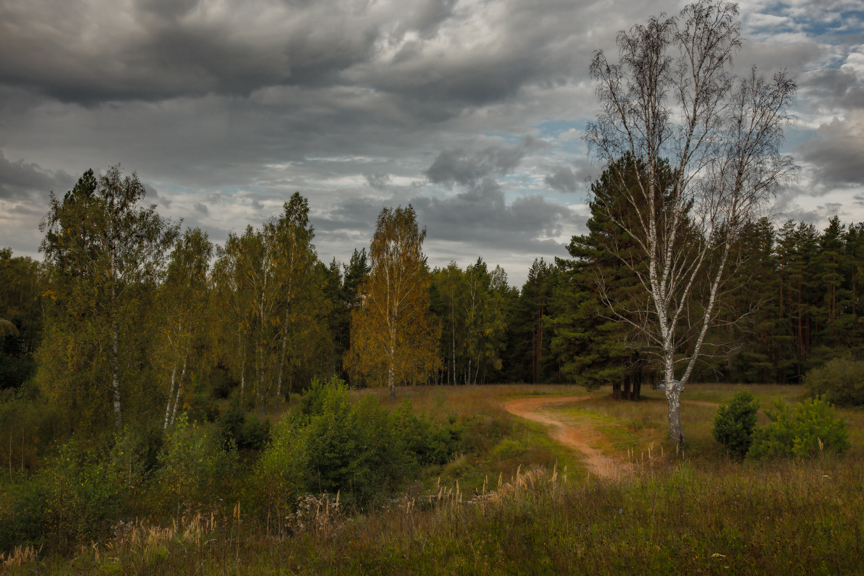 Пасмурное утро.