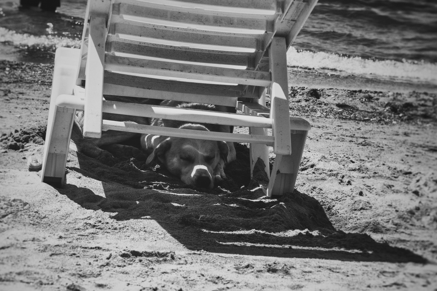 Лето в зените