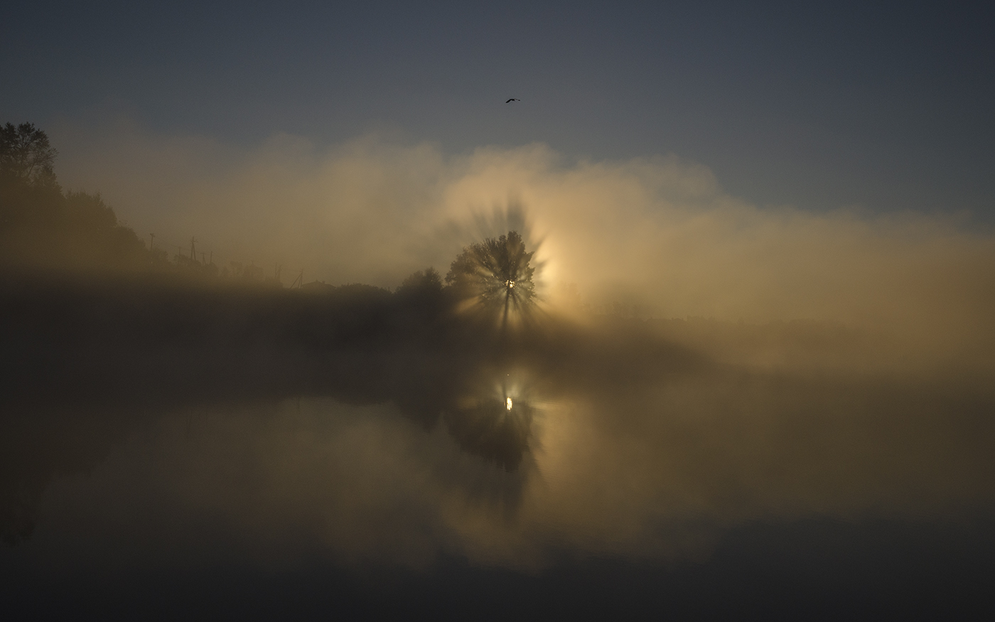 Когда уходит ночь