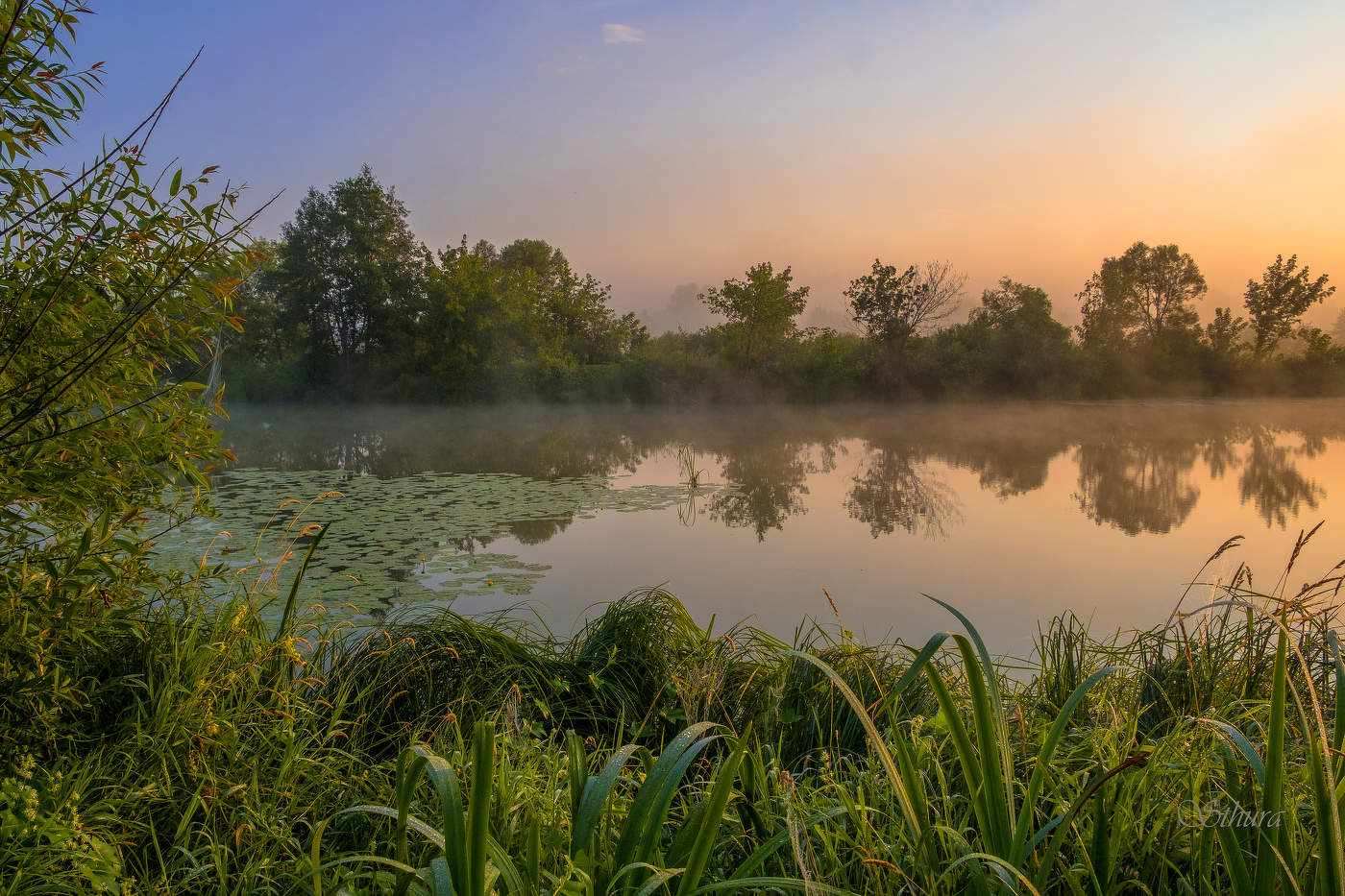 Середина лета.