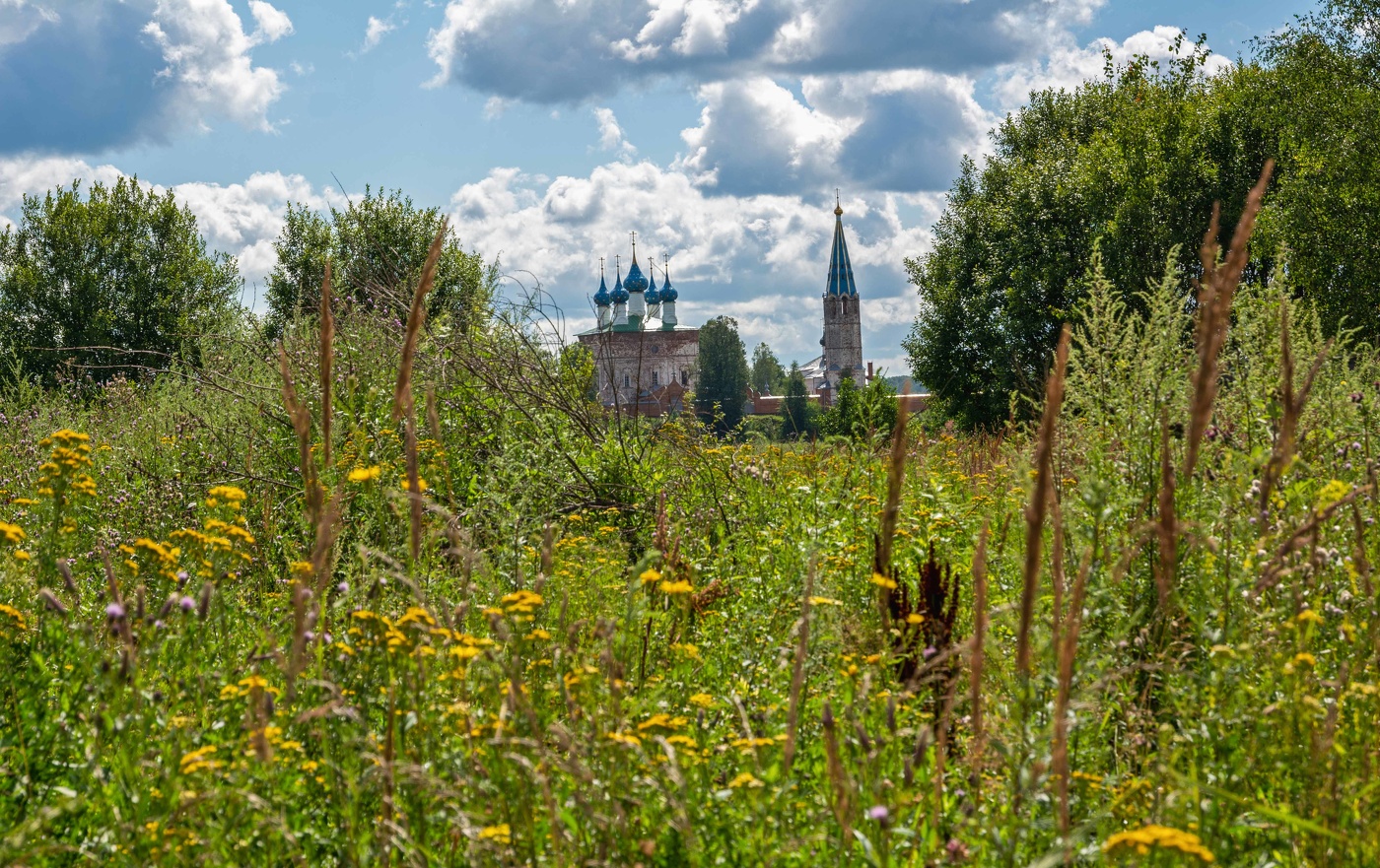 летний день
