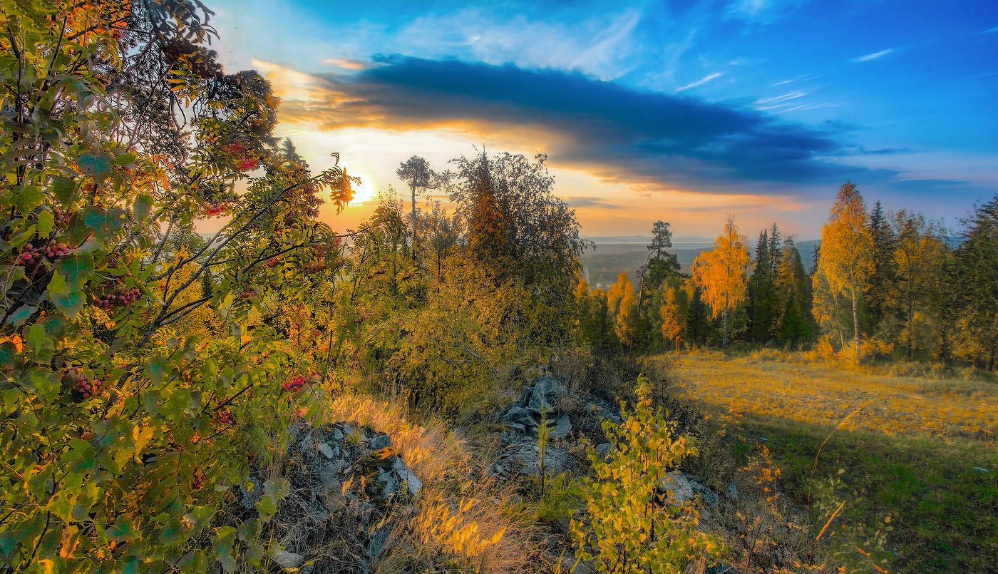 В осеннем лесу