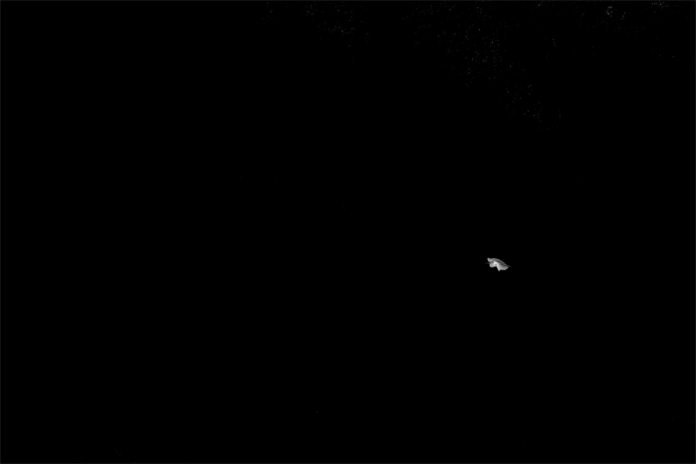 Жизнь вокруг