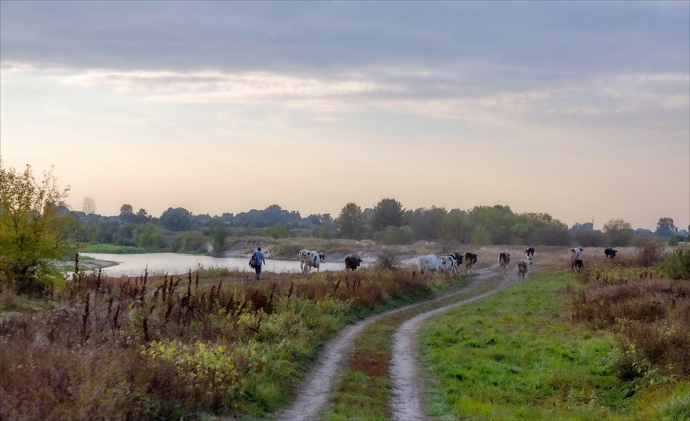 СПУСКАЛСЯ ВЕЧЕР