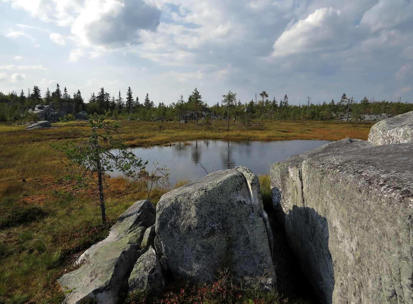 замечательный день