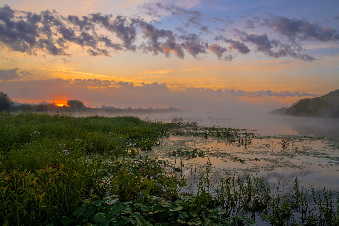 Летнее утро.