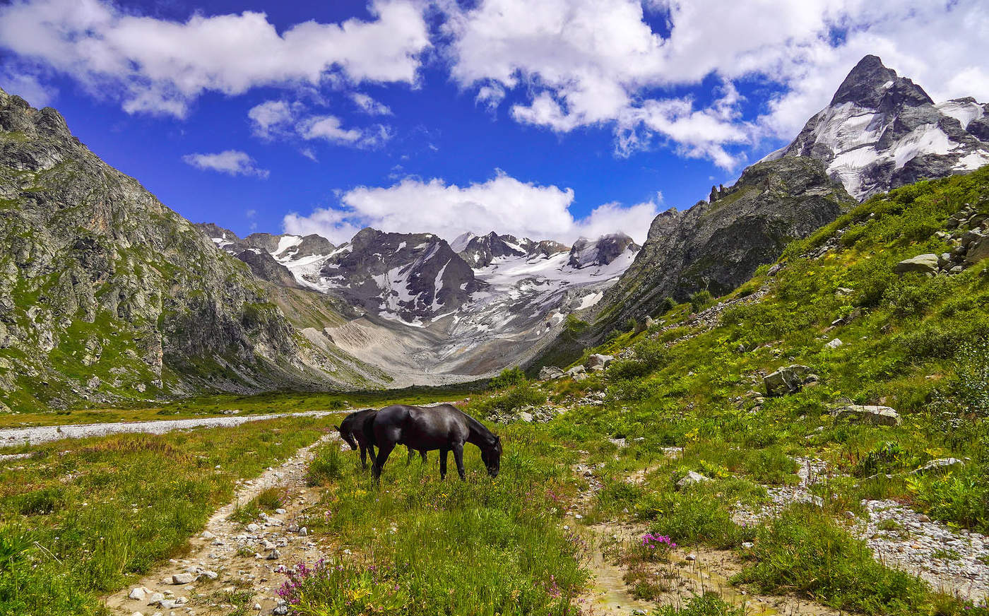 Зеленая гостиница