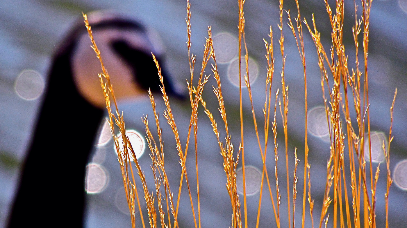 А там-то кто?