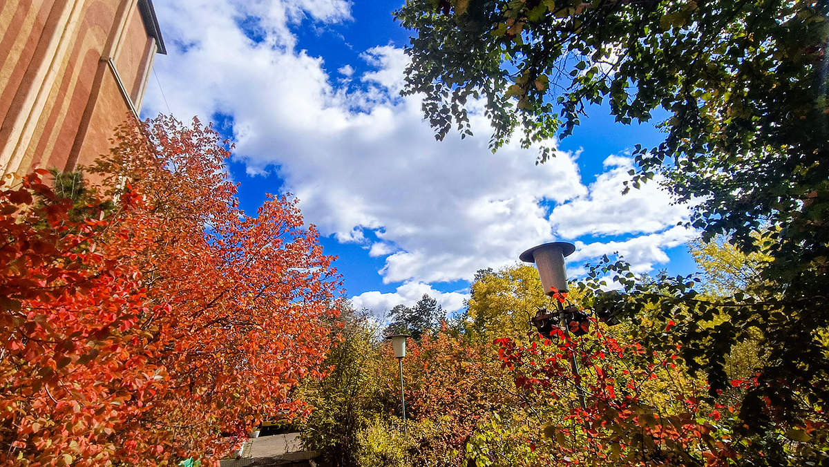 Цвета осени