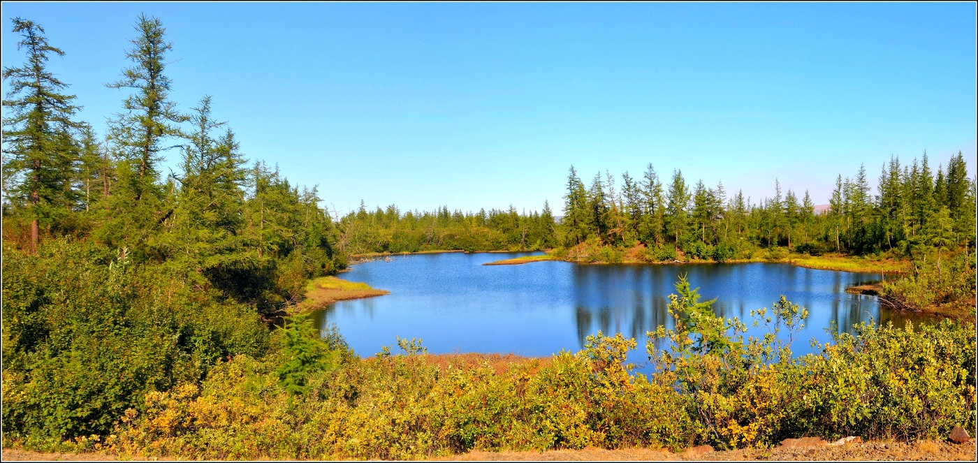 Sommer auf der Halbinsel Taimyr