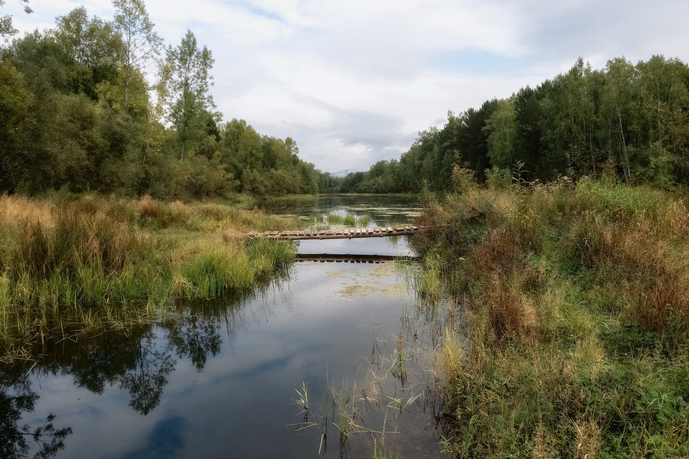 Старый пруд