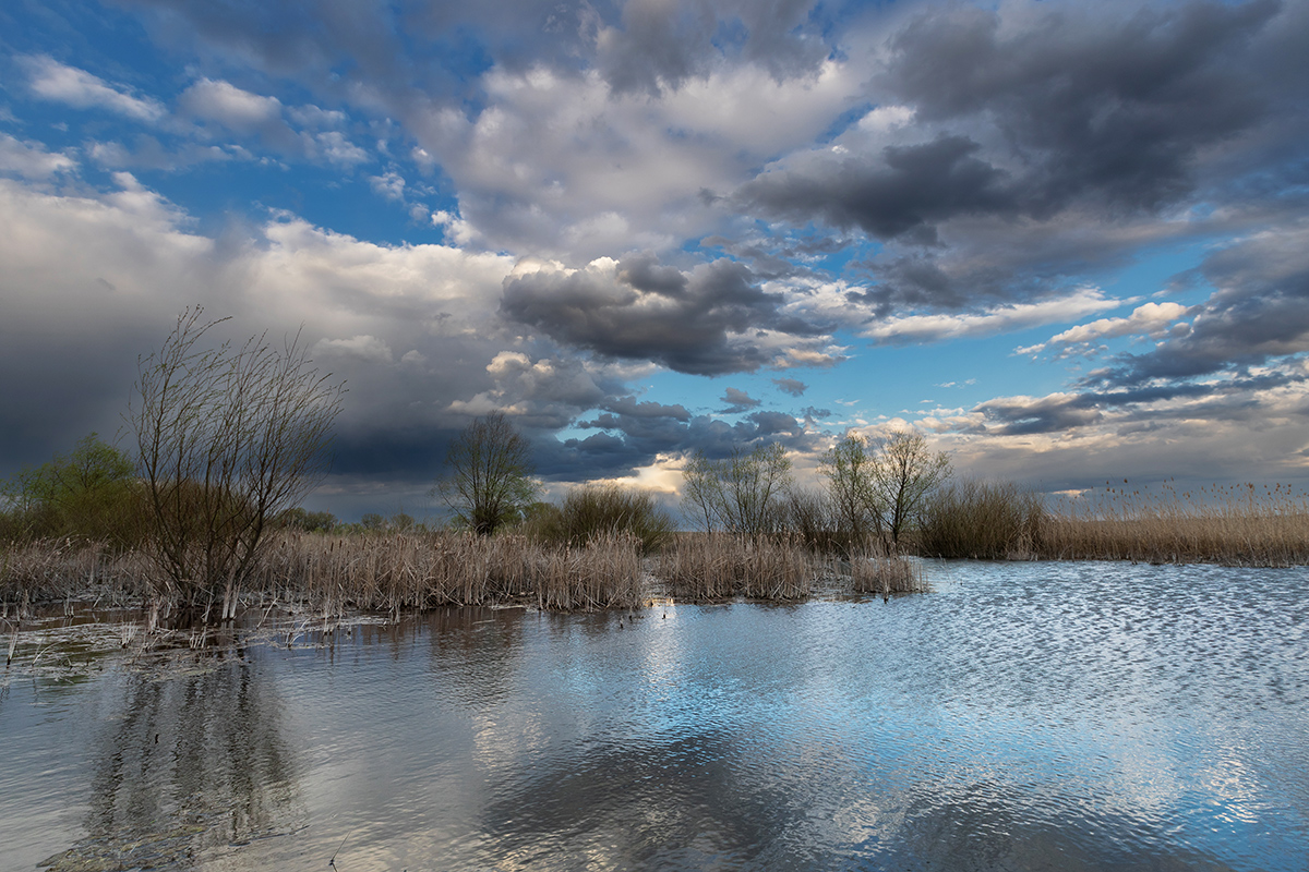 Пахнет весной