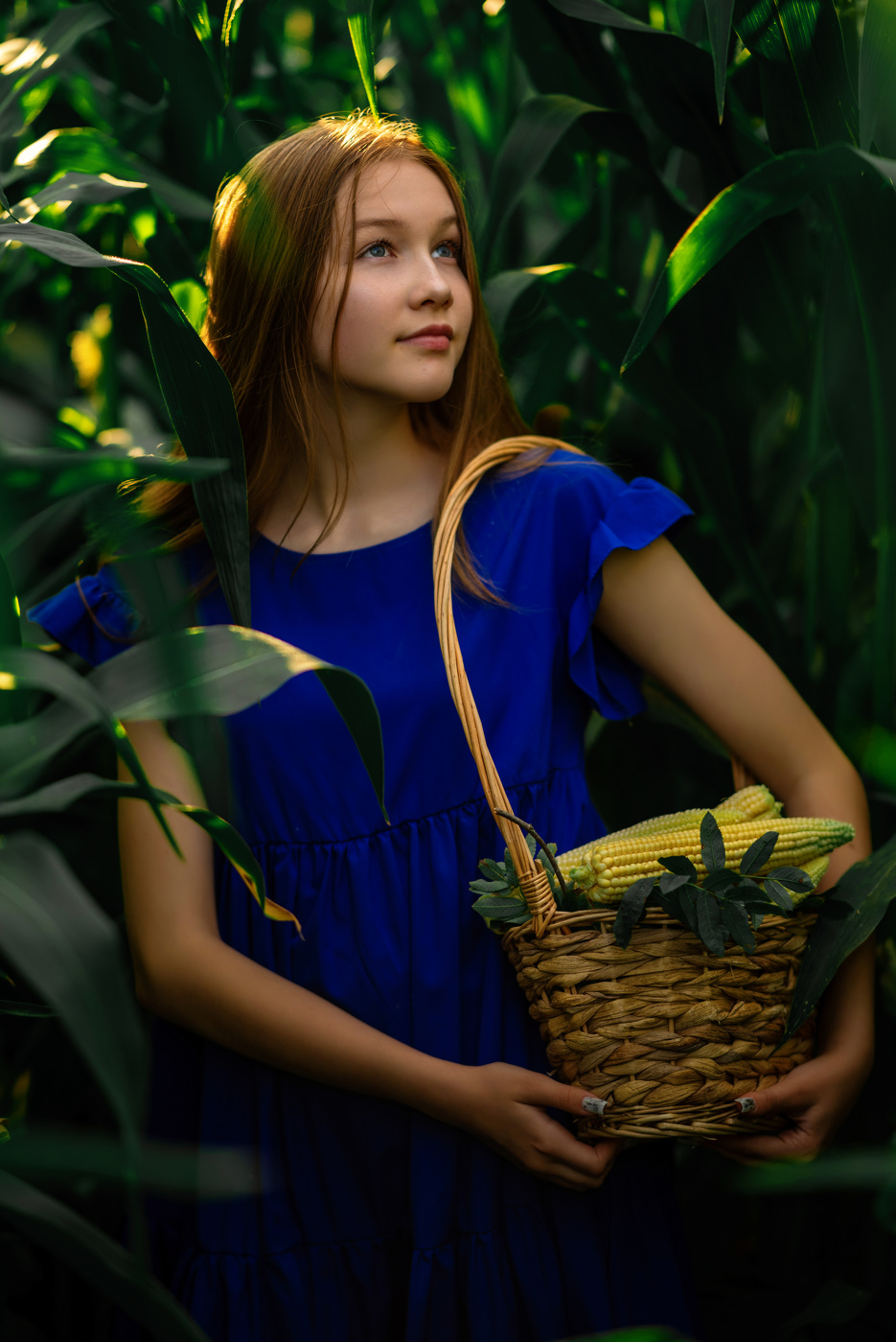 Урожай кукурузы