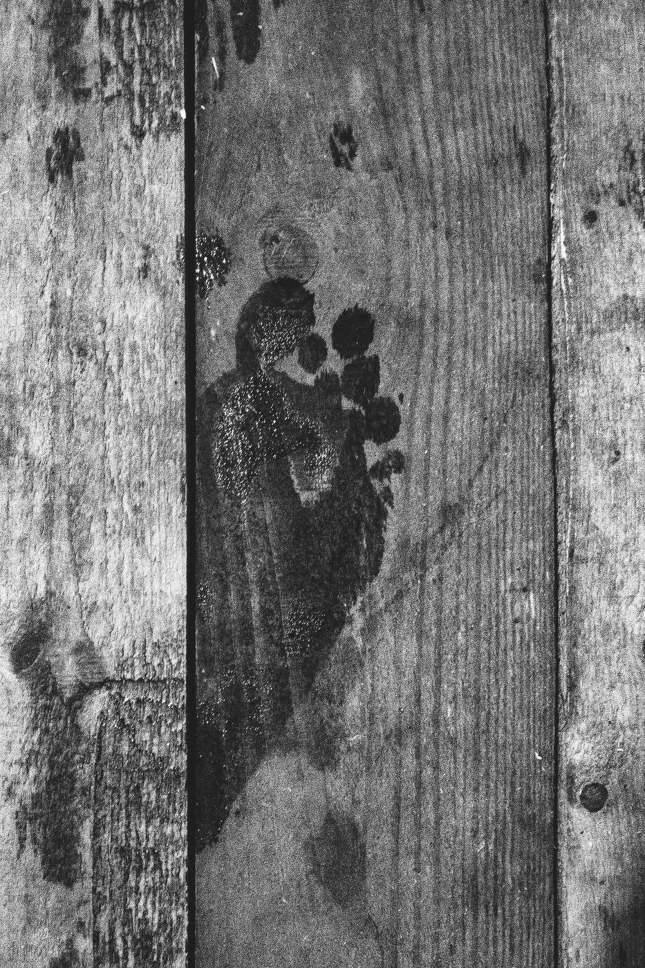 Жизнь вокруг