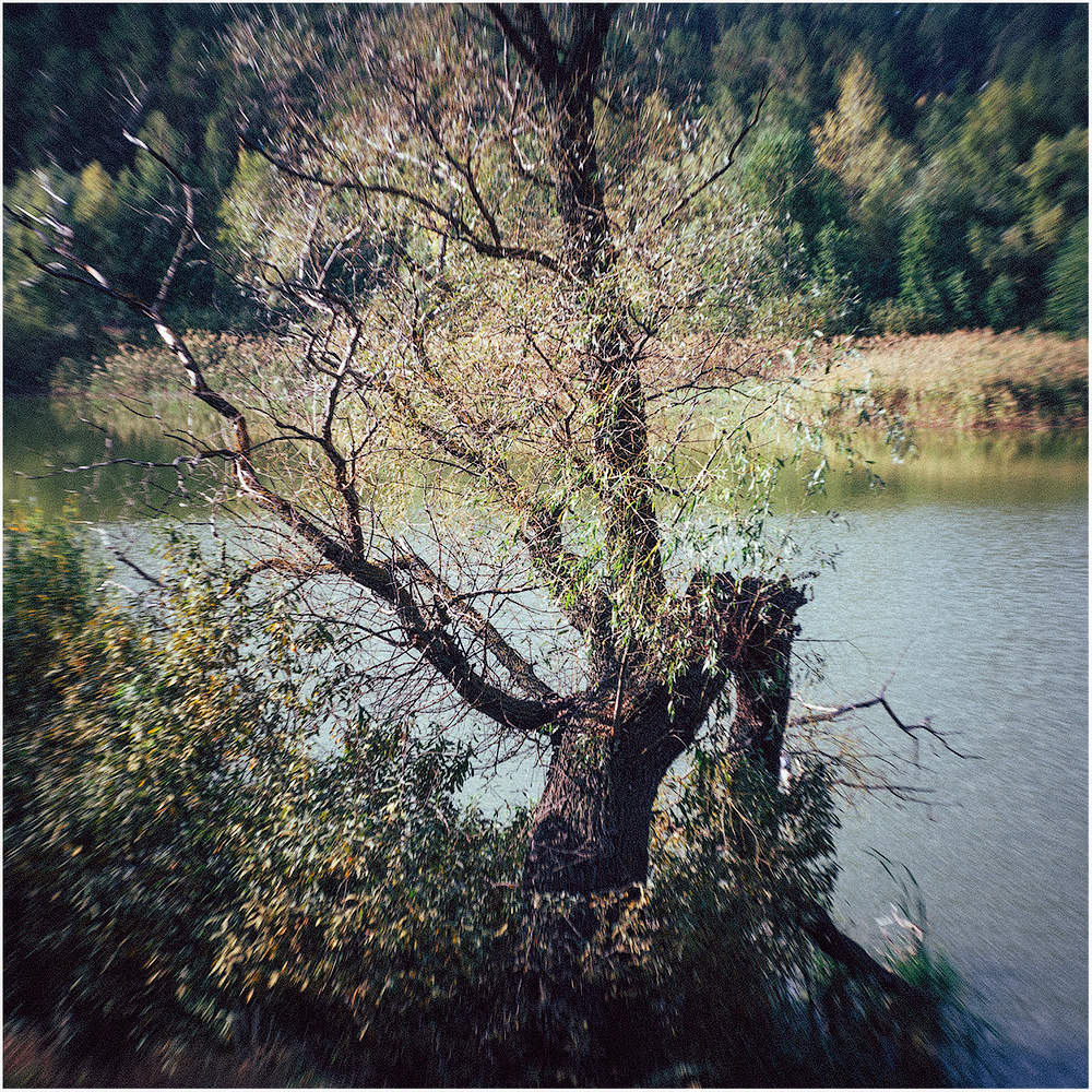 Осень. Начало