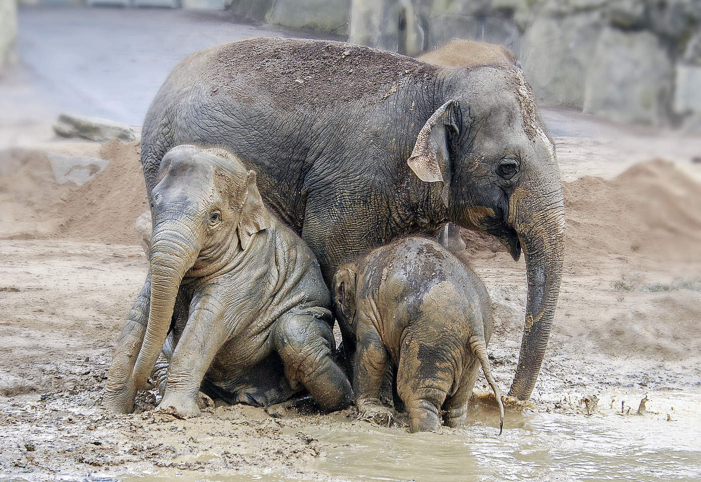Веселые ребята