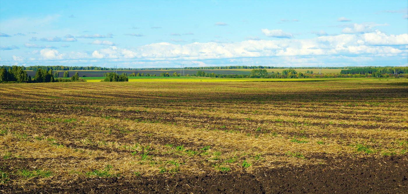 Осени начало