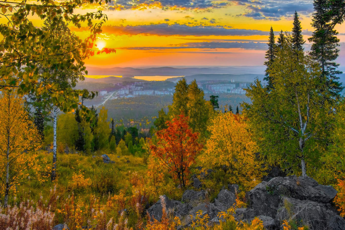 Осеннее разноцветье